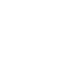 executive-reporting